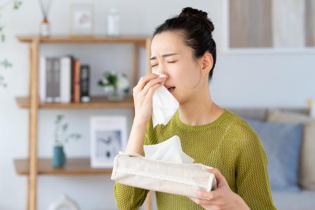 花粉症を軽くする家とは?全3回 2回目 花粉症を発症させないための家づくりとは? #店長流
